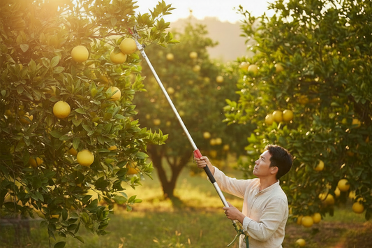 How to Use a Pole Pruner for Fruit Picking & Tree Trimming: Complete Guide