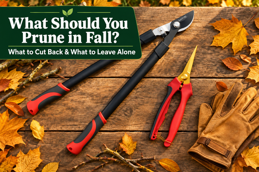 What Should You Prune in Fall? A guide featuring GARTOL 28-inch bypass lopper and HC191 titanium pruning shears on an autumn workbench