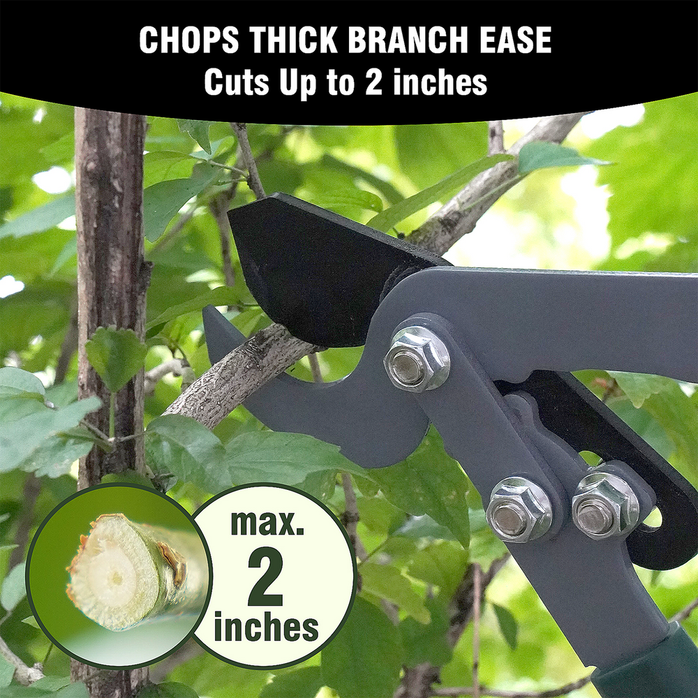 GARTOL lopper cutting a thick branch, max 2-inch cutting capacity