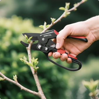 Prune & Trim