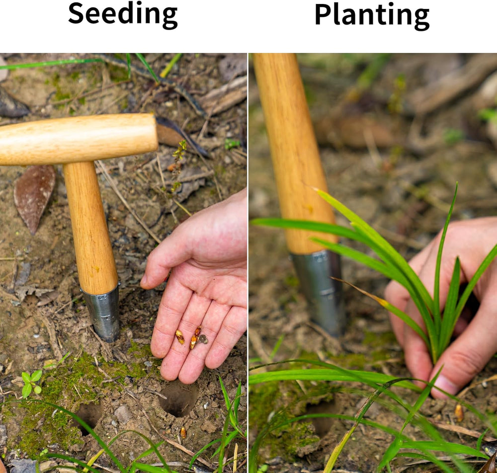 GARTOL Hand Dibber Garden Tool – 5" Stainless Steel Seed Planter with Wood Handle