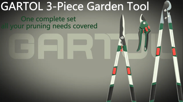 Quick Demo: Extendable Tree Pruner in Action