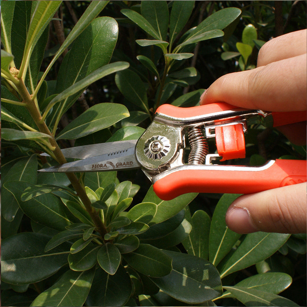 GARTOL 6.5" Orange Pruning Shears - Sharp Floral & Garden Scissors