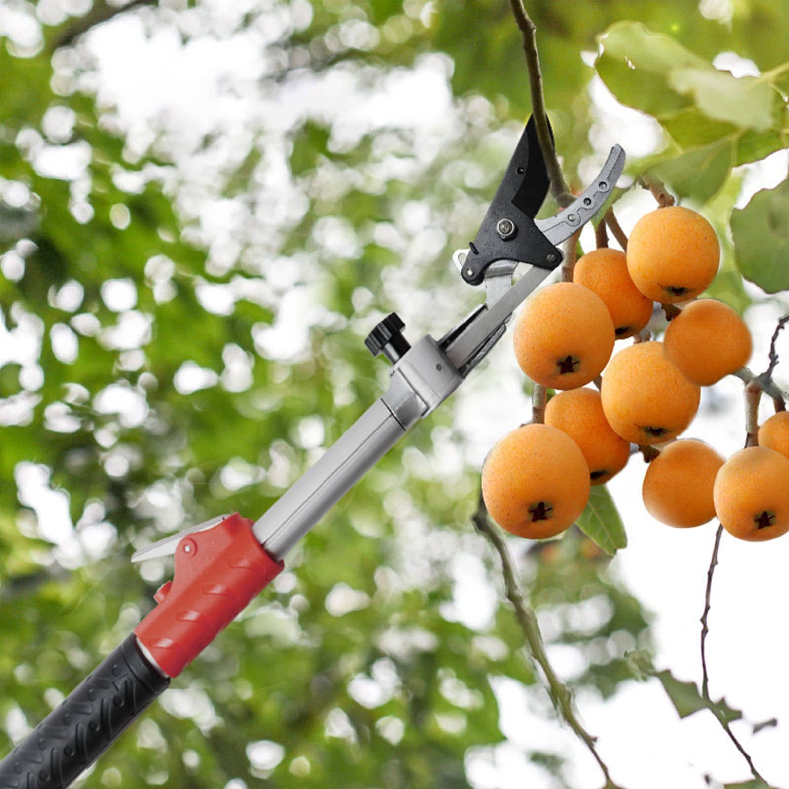 GARTOL Pole Pruner & Saw - Thumbnail 4