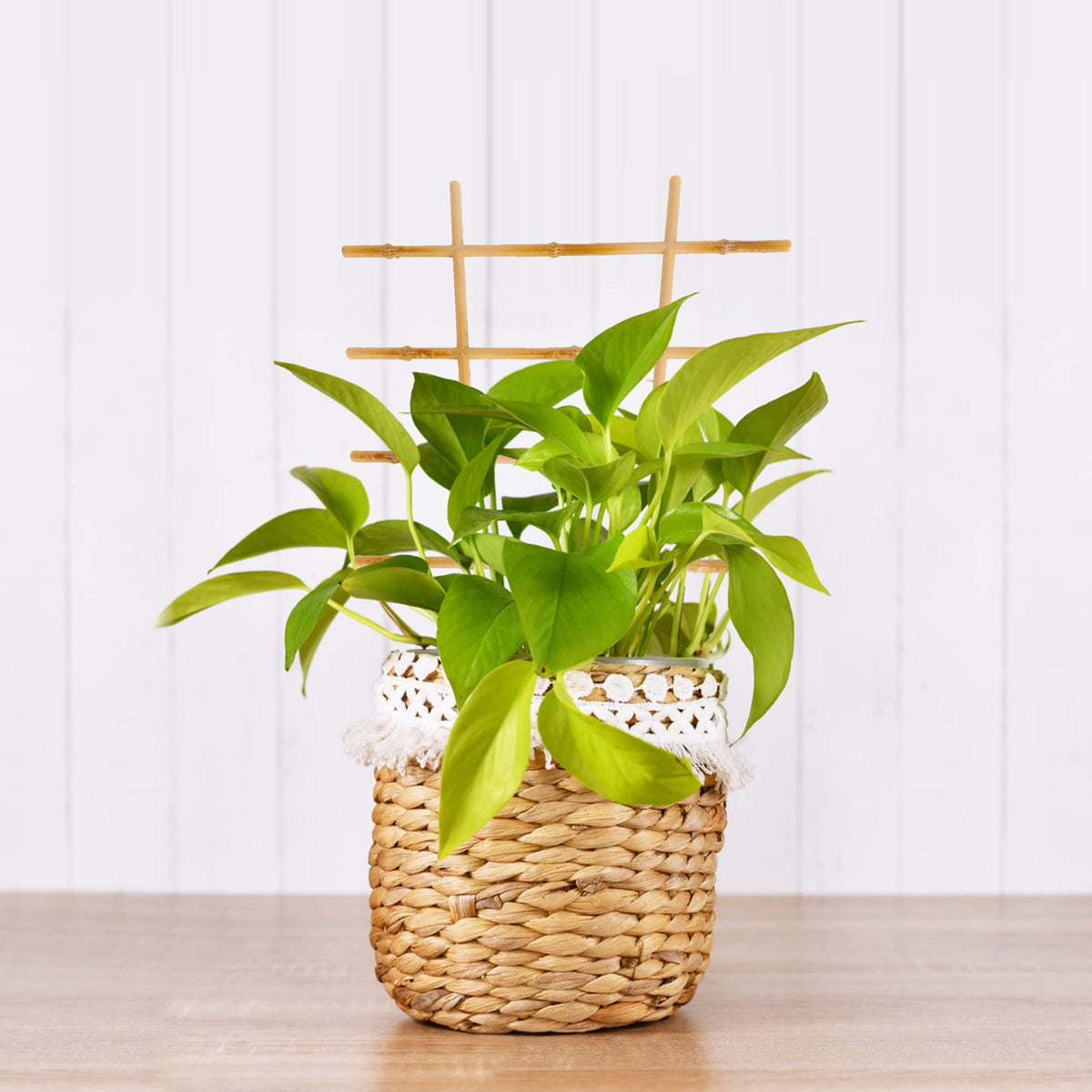 Artificial Bamboo Garden Trellises with Twist Ties-GARTOL