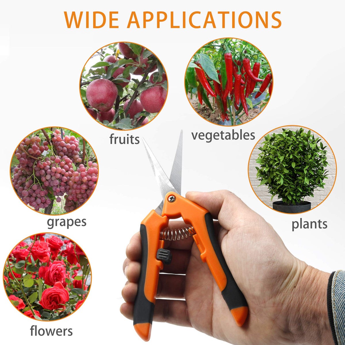 Micro-Tip Pruning Snips-GARTOL