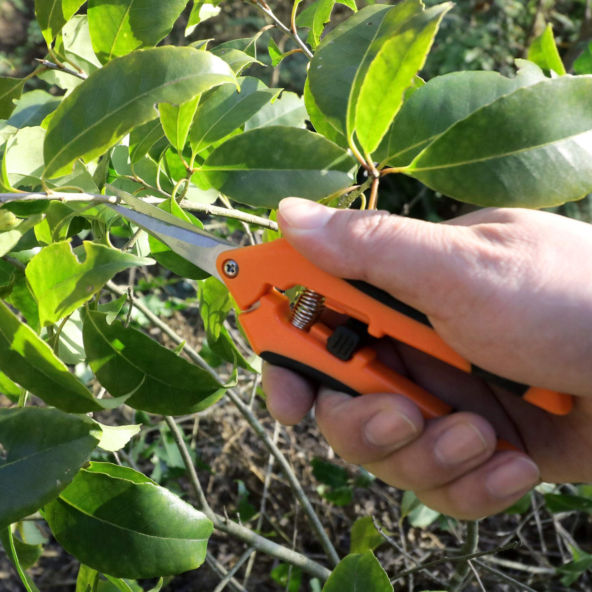 Micro-Tip Pruning Snips-GARTOL