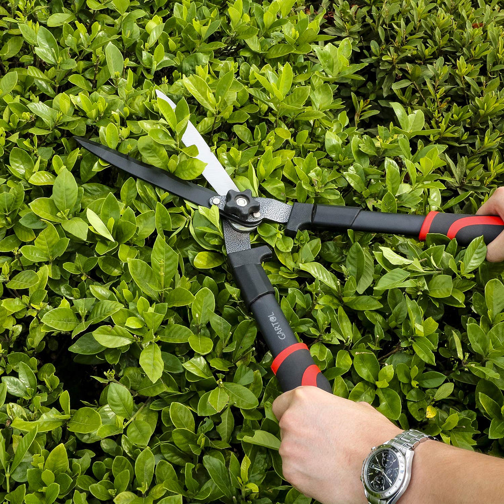 Gardener using GARTOL hedge shears to trim green shrubs in garden