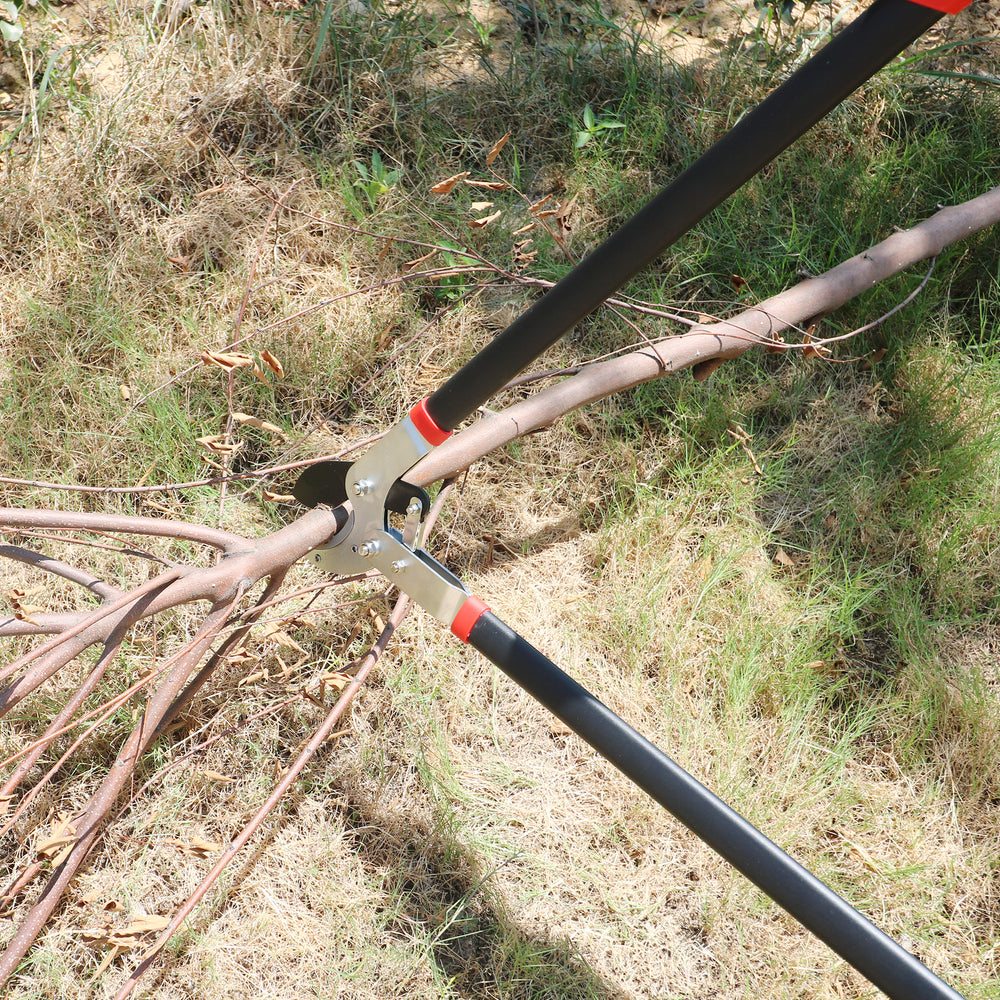 GARTOL long-handle lopper cutting thick dry tree branch in yard